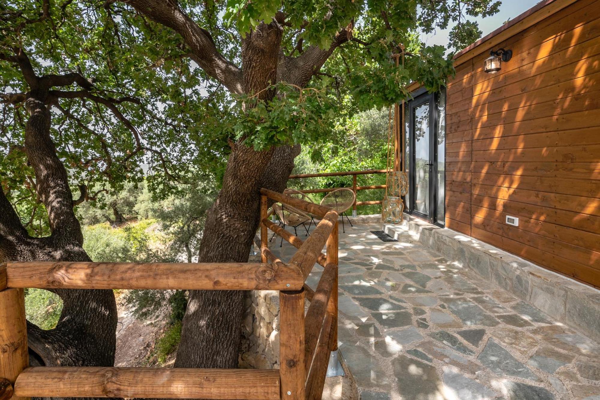Wooden House Apartments Kalathenai 외부 사진